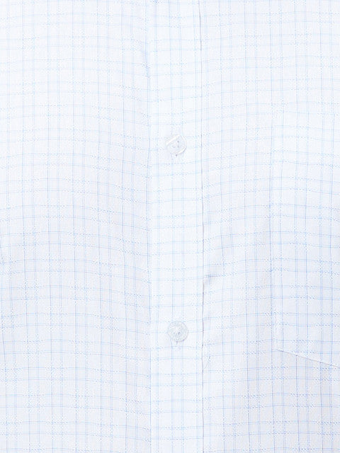 Park Avenue Men Blue Slim Fit Checks Shirt