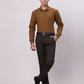 Park Avenue Brown Formal Shirt