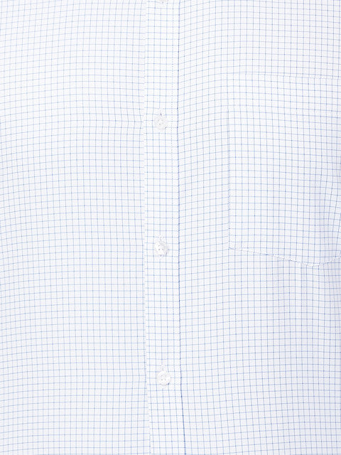 Park Avenue Men Blue Slim Fit Checks Shirt