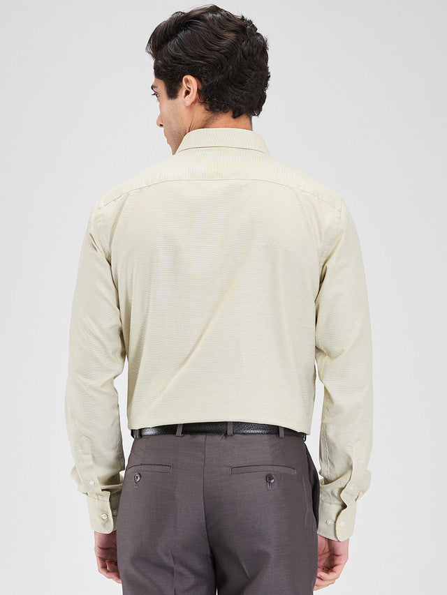 Park Avenue Men Green Slim Fit Structure Formal Shirt – MyRaymond