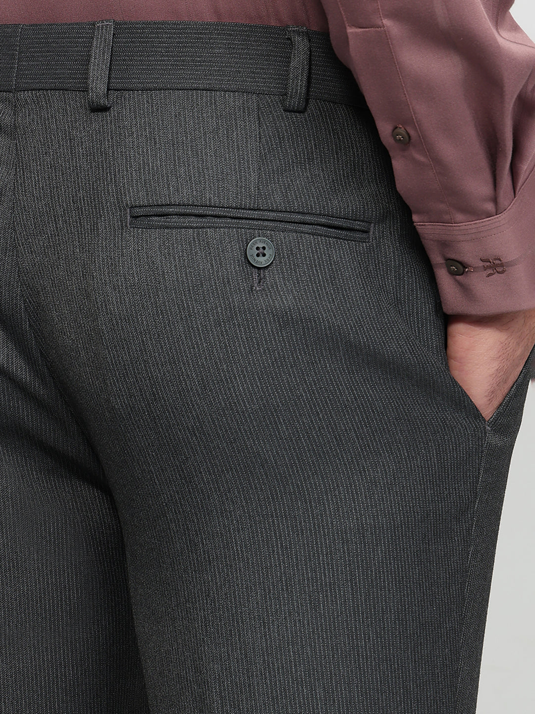 Park Avenue Men Grey Slim Fit Stripe Trouser