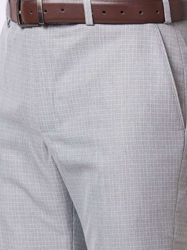 Park Avenue Men Grey Checkered Regular Fit Trouser