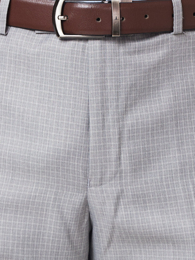 Park Avenue Men Grey Checkered Regular Fit Trouser