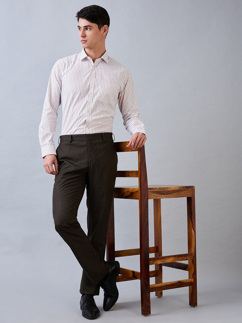 Park Avenue Men Brown Stripe Regular Fit Polyester Blend Trouser