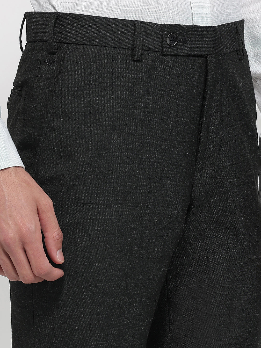 Park Avenue Men Grey Regular Fit Stripe Trouser