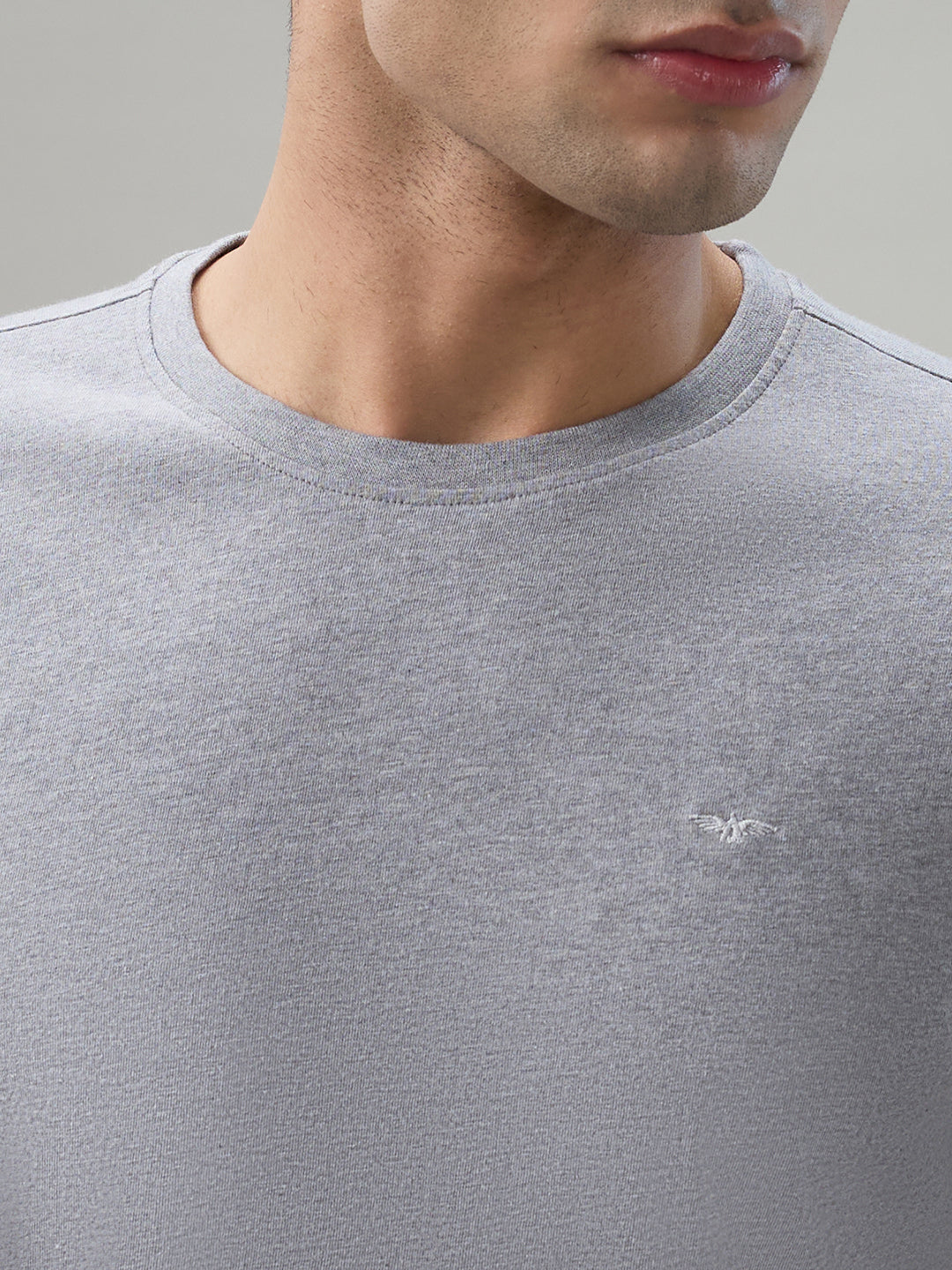 Park Avenue Men Grey Round Neck Collar T-Shirt