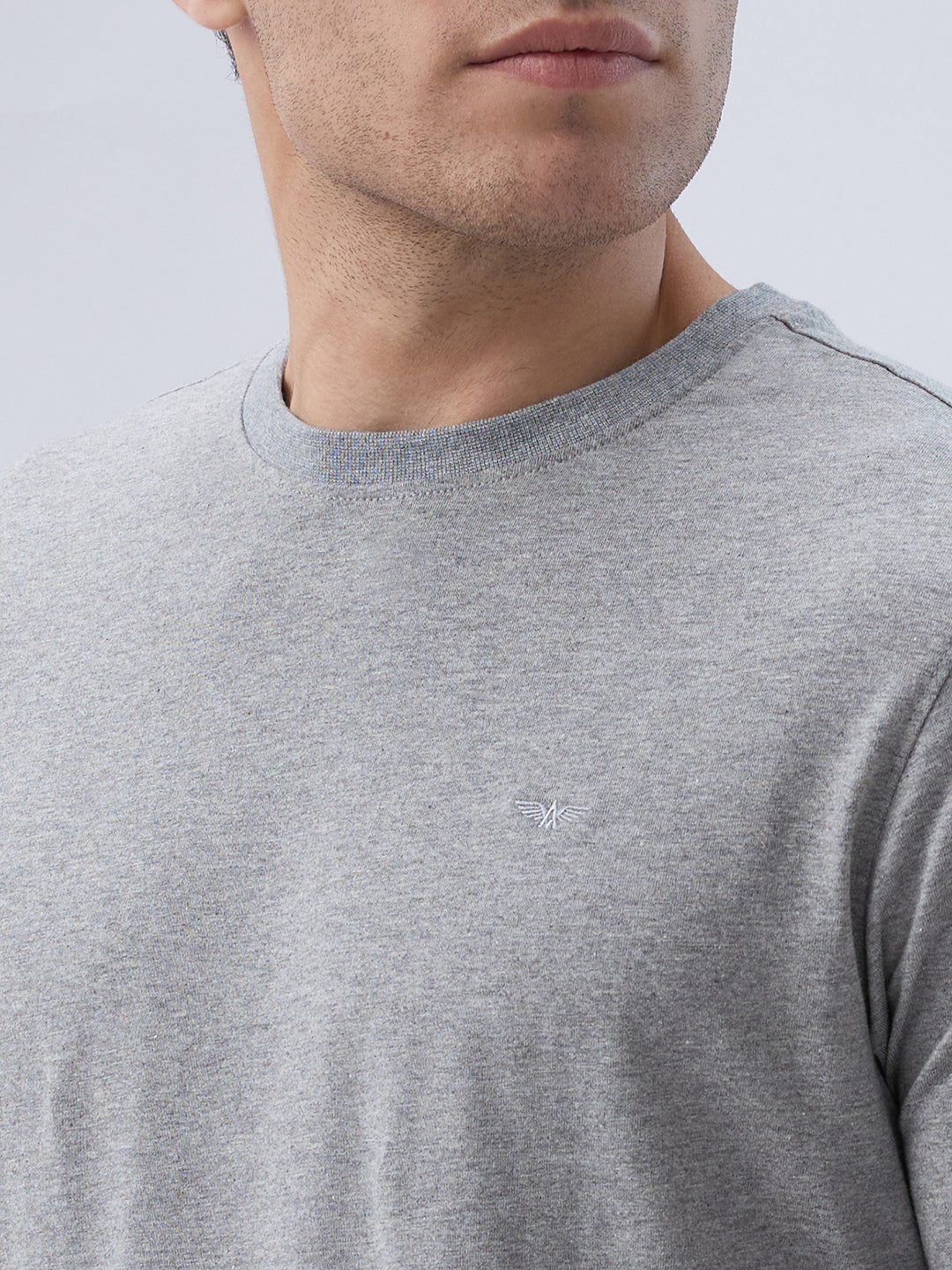Park Avenue Men Grey Round Neck Collar T-Shirt