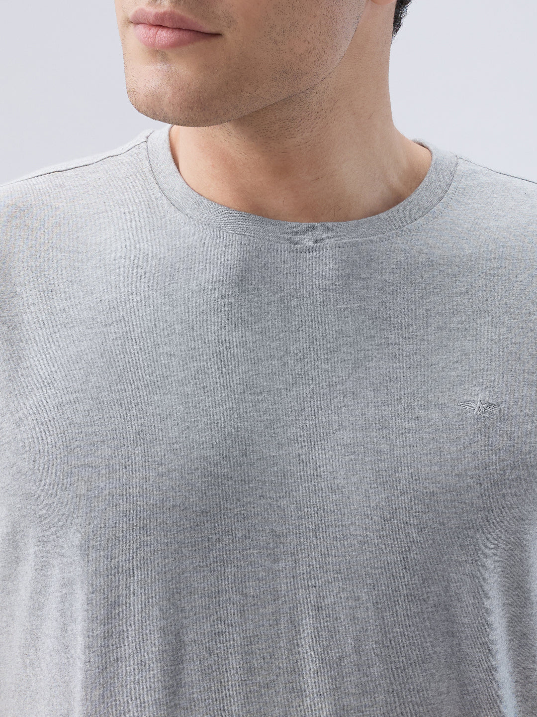 Park Avenue Men Grey Round Neck Collar T-Shirt