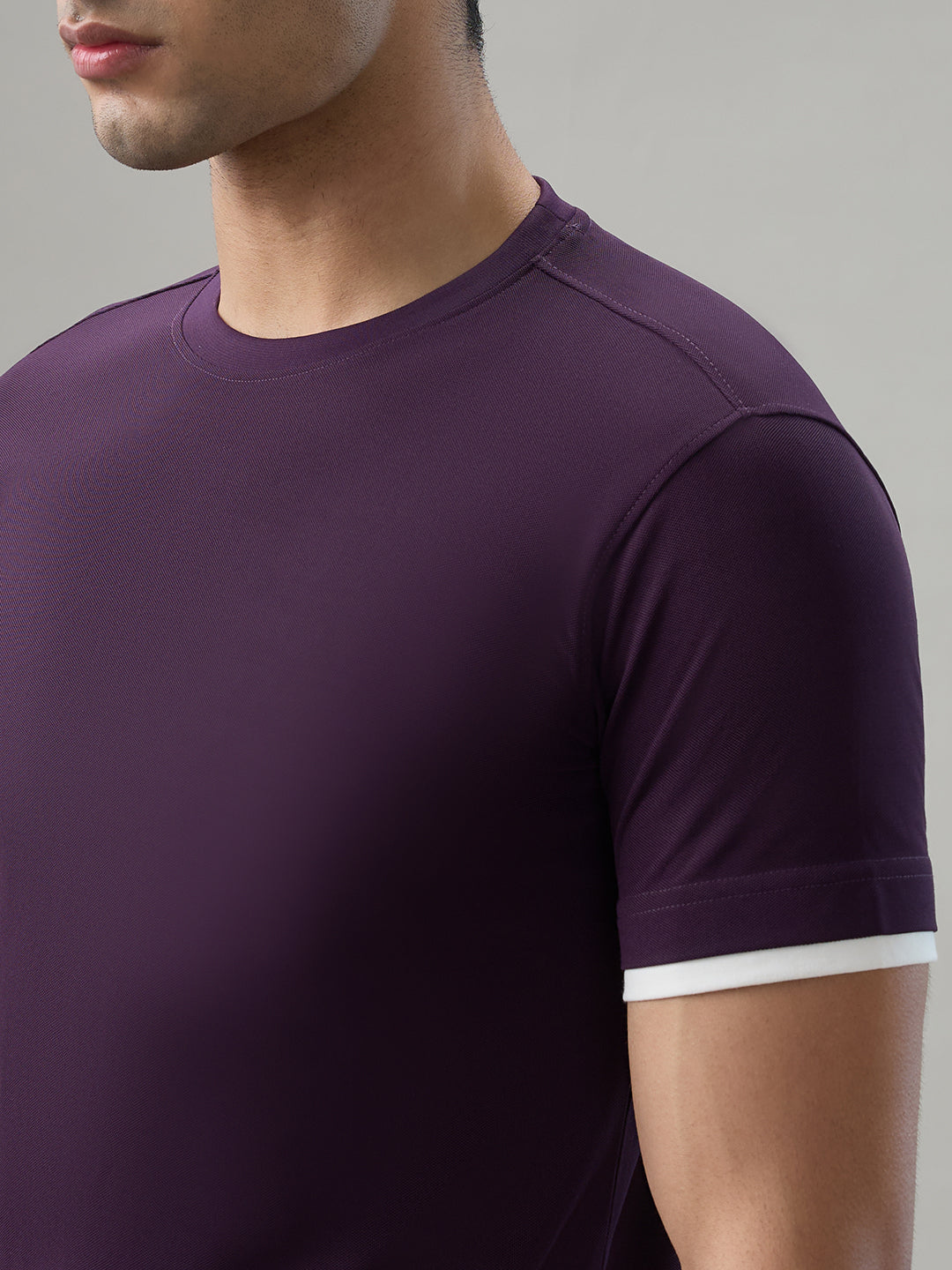 Park Avenue Men Purple Round Neck Collar T-Shirt