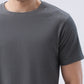 Park Avenue Men Grey Crew Neck Collar T-Shirt
