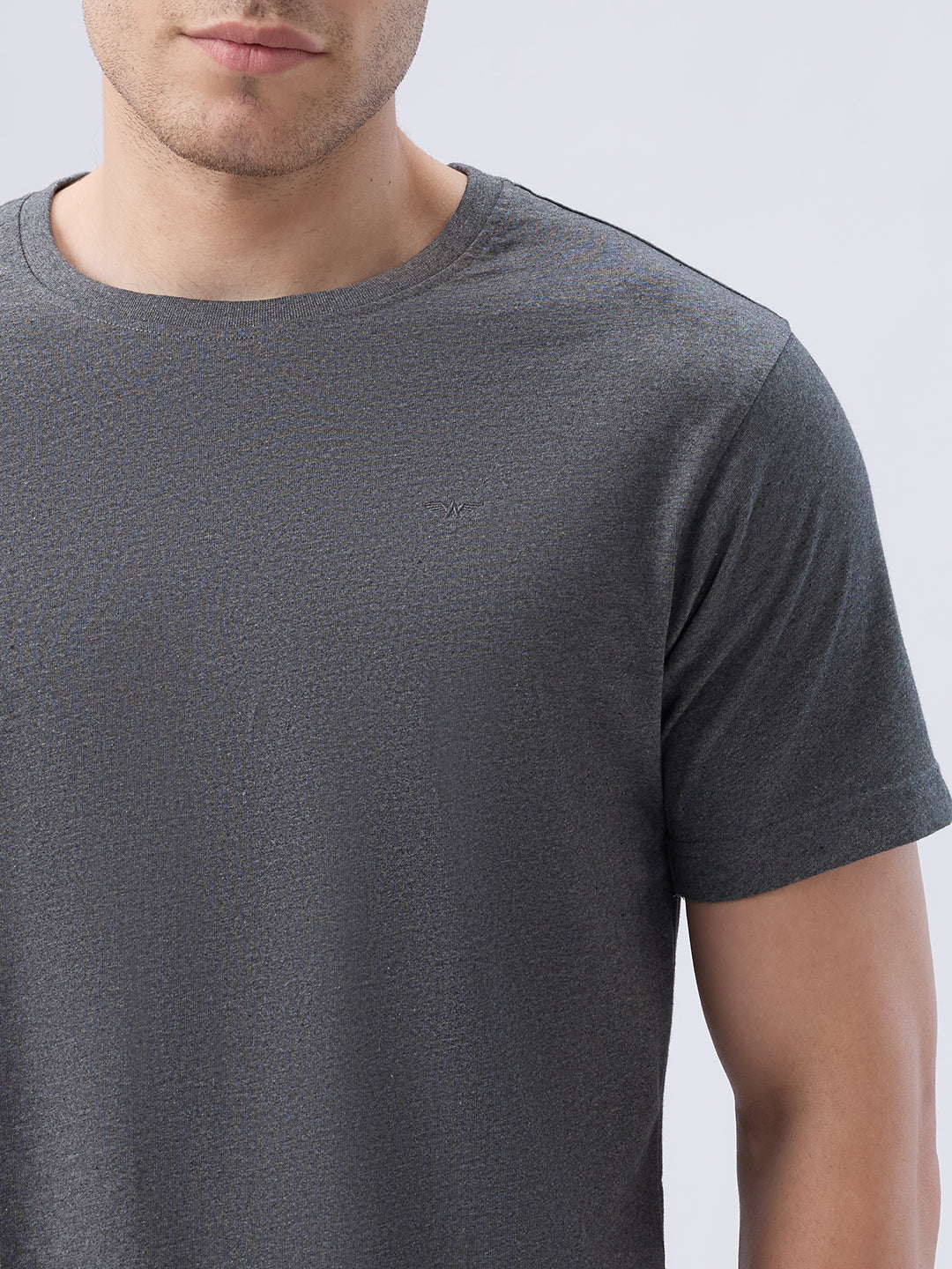 Park Avenue Men Grey Crew Neck Collar T-Shirt