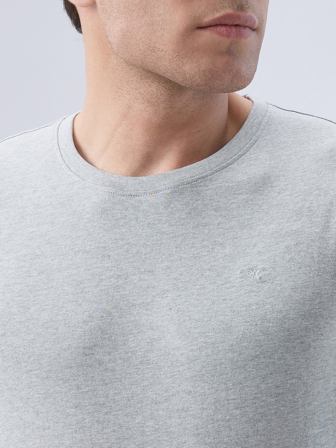 Park Avenue Men Grey Crew Neck Collar T-Shirt