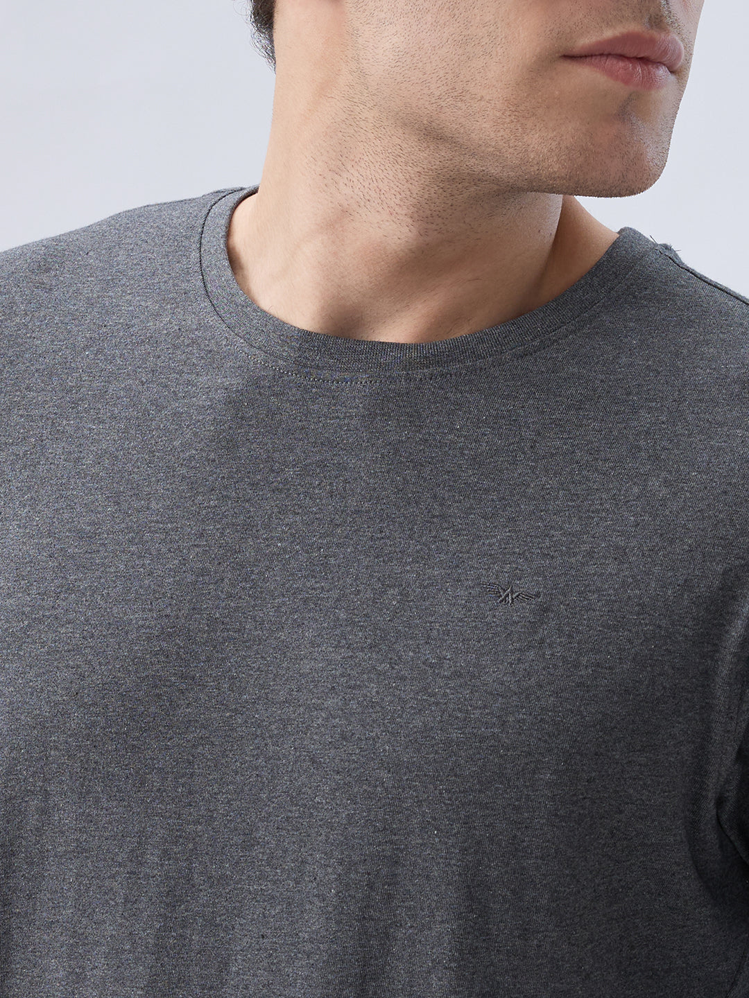 Park Avenue Men Grey Crew Neck Collar T-Shirt
