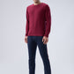 Park Avenue Men Maroon Crew Neck Collar T-Shirt