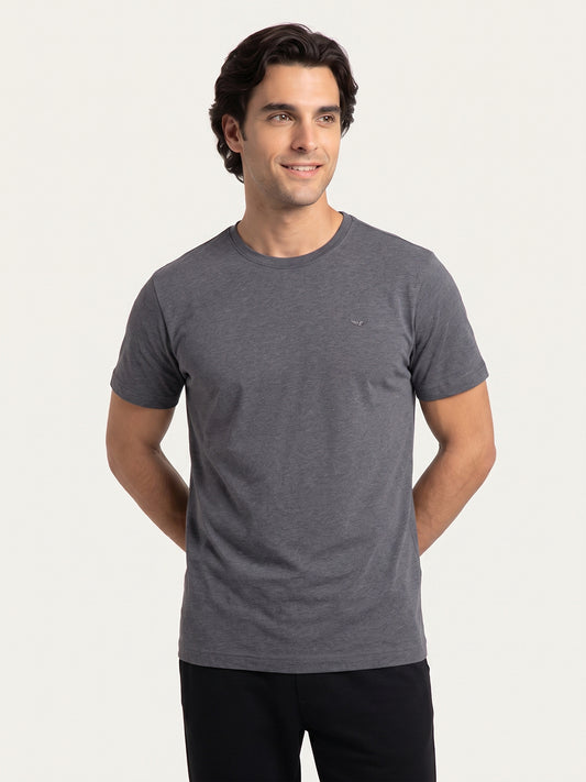 Park Avenue Men Grey Round Neck Collar T-Shirt