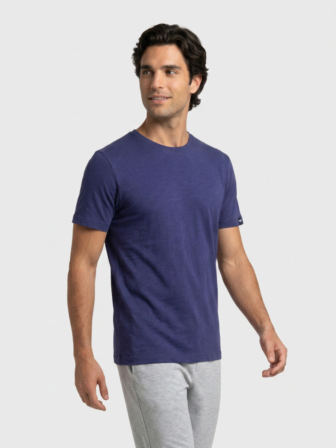 Park Avenue Men Blue Regular Fit Round Neck Collar T-Shirt