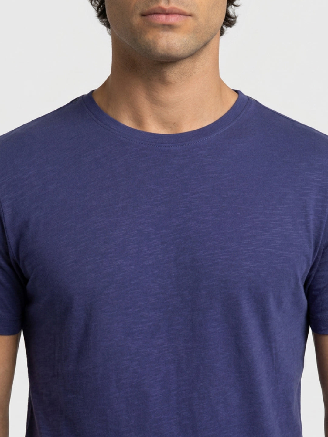 Park Avenue Men Blue Regular Fit Round Neck Collar T-Shirt
