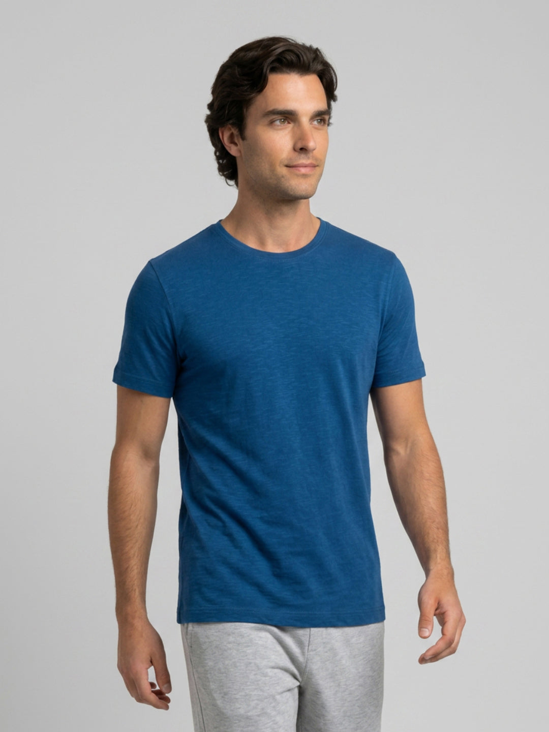 Park Avenue Men Blue Regular Fit Round Neck Collar T-Shirt