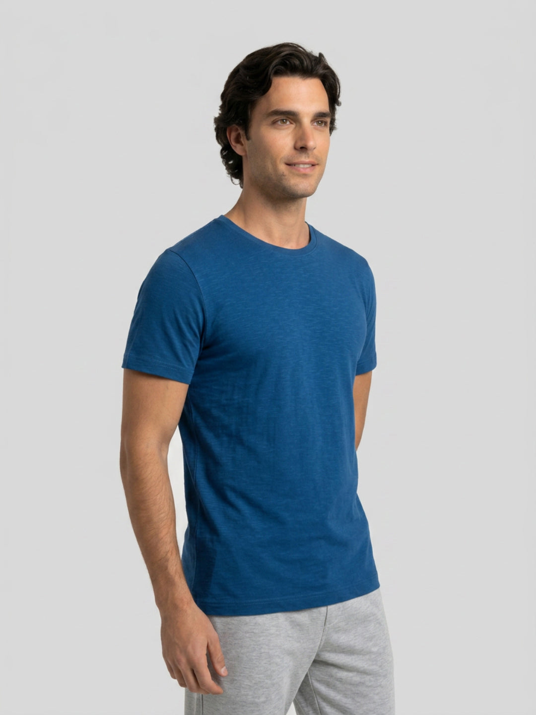 Park Avenue Men Blue Regular Fit Round Neck Collar T-Shirt