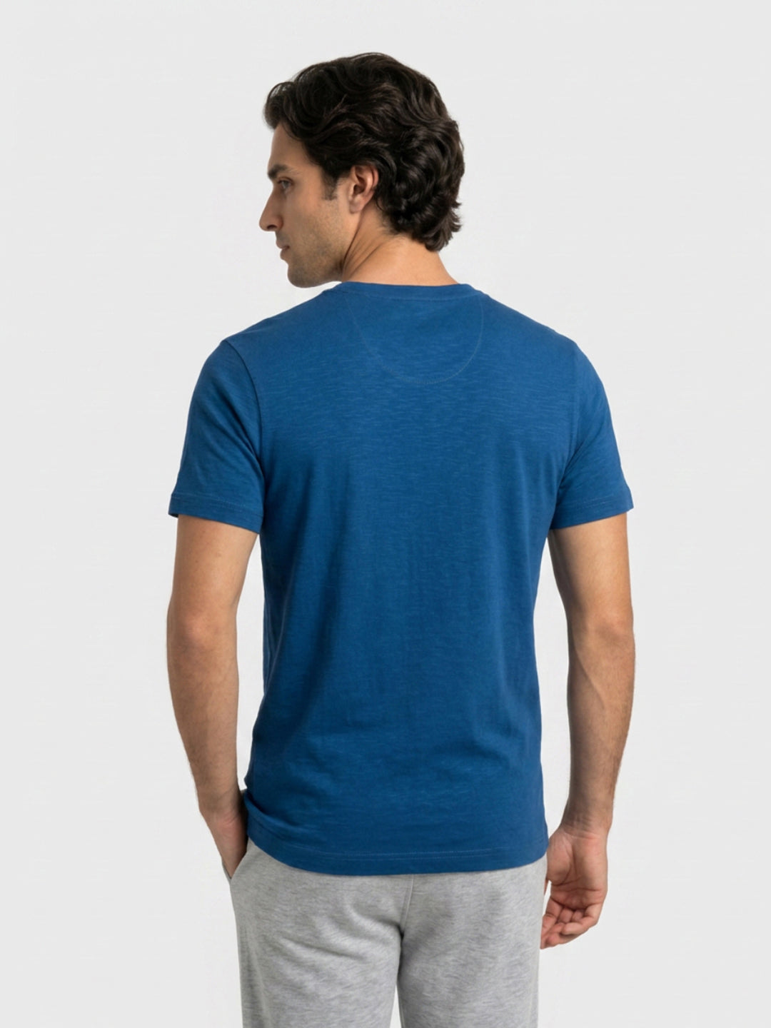 Park Avenue Men Blue Regular Fit Round Neck Collar T-Shirt