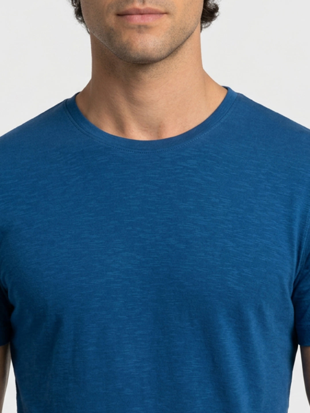 Park Avenue Men Blue Regular Fit Round Neck Collar T-Shirt