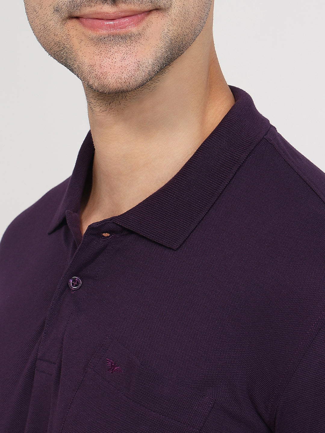 Park Avenue Men Maroon Polo Neck Collar T-Shirt