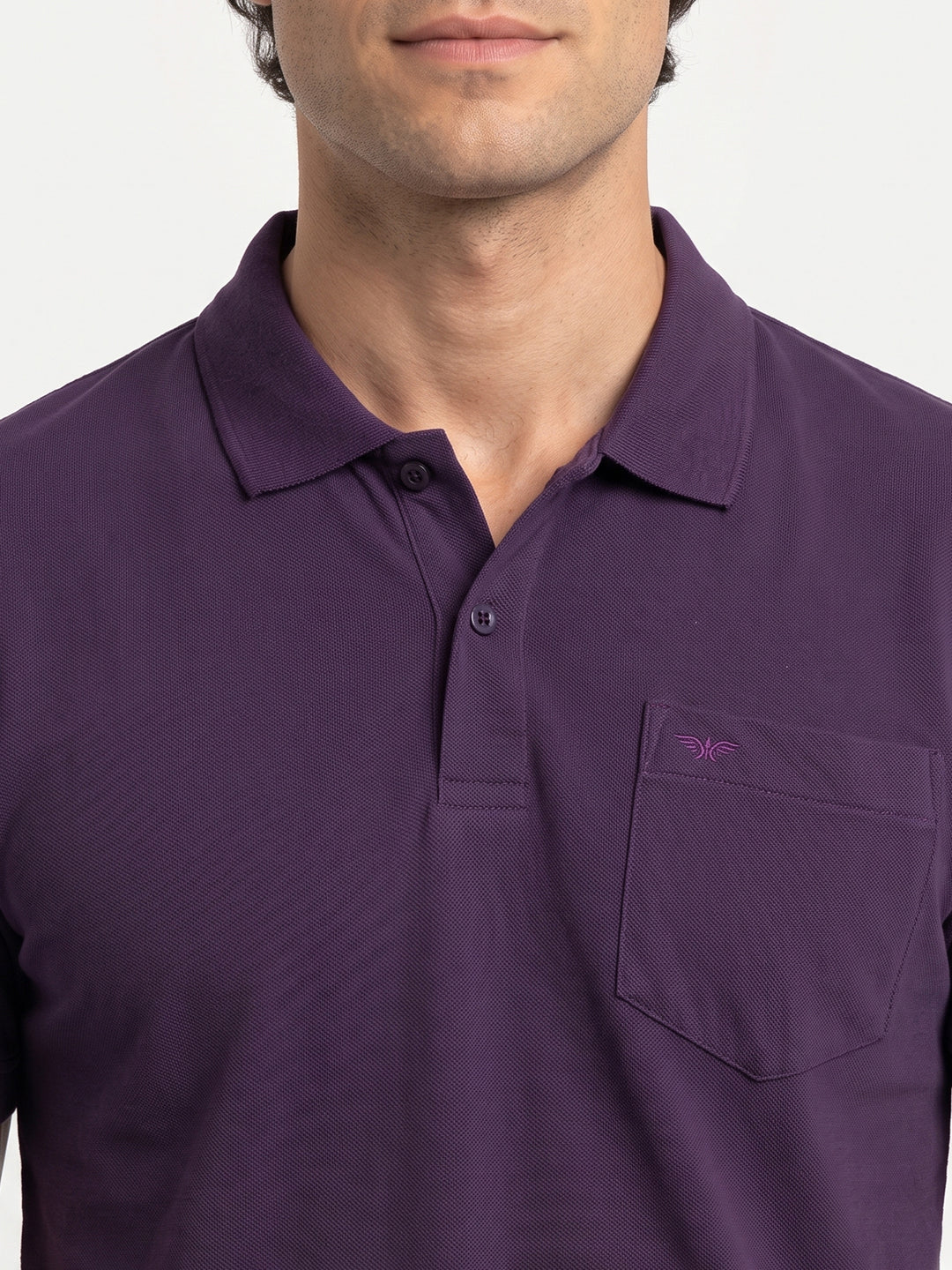 Park Avenue Men Maroon Polo Neck Collar T-Shirt