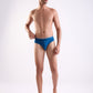 Park Avenue Blue Brief
