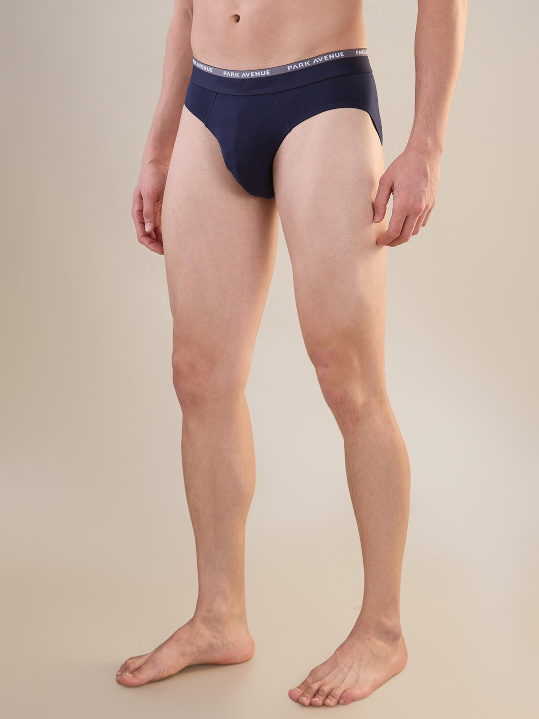 Park Avenue Blue Brief