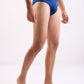 Park Avenue Blue Brief