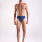 Park Avenue Blue Brief