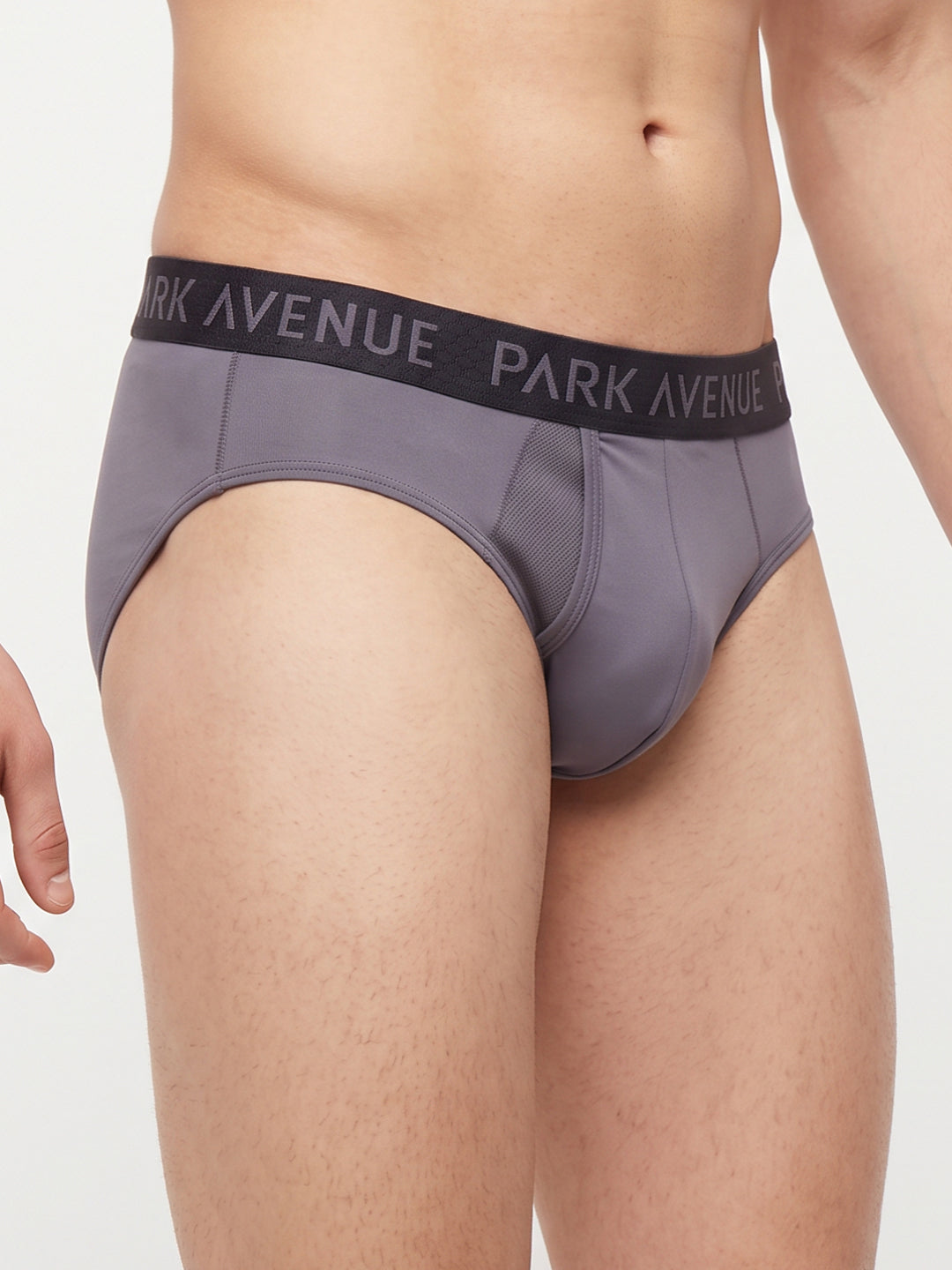 Park Avenue Men Grey Nylon Blend Brief