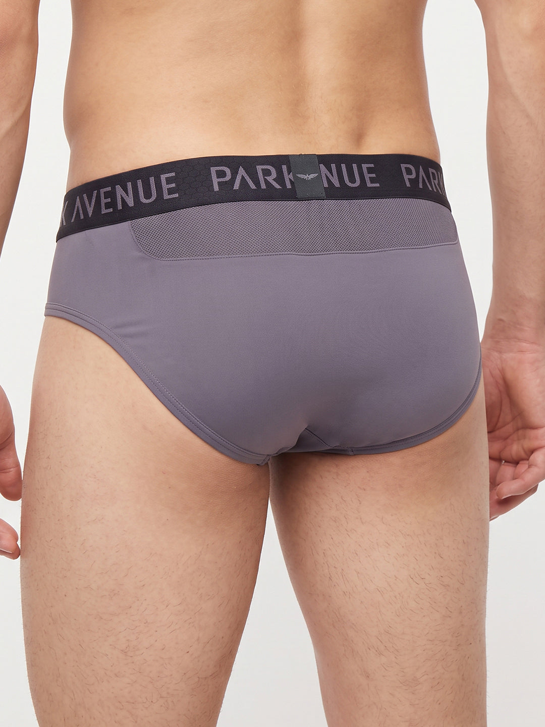 Park Avenue Men Grey Nylon Blend Brief