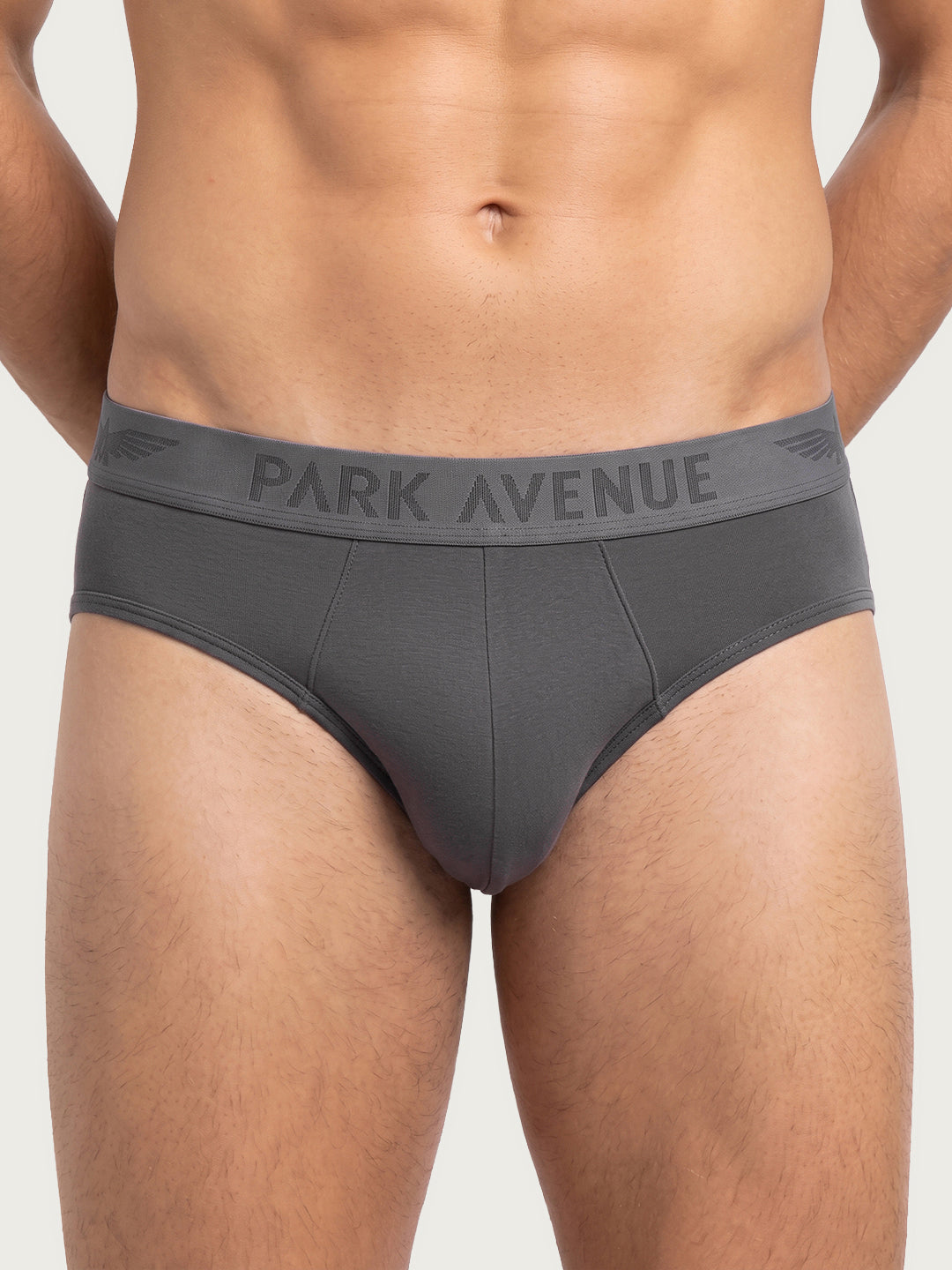 Park Avenue Men Grey Modal Blend Brief