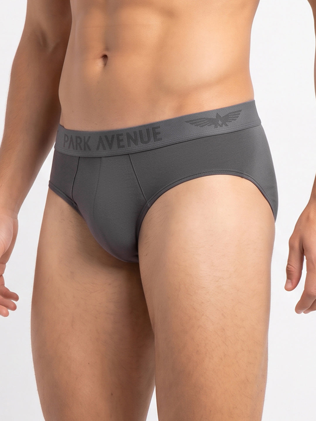 Park Avenue Men Grey Modal Blend Brief