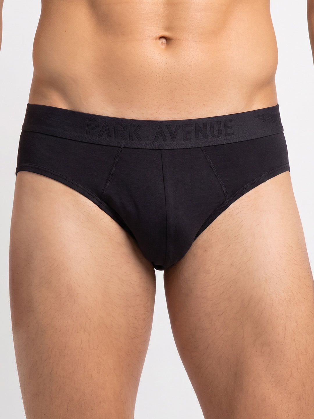 Park Avenue Men Black Modal Blend Brief