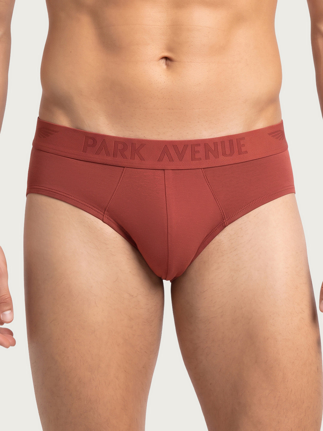 Park Avenue Men Marron Modal Blend Brief