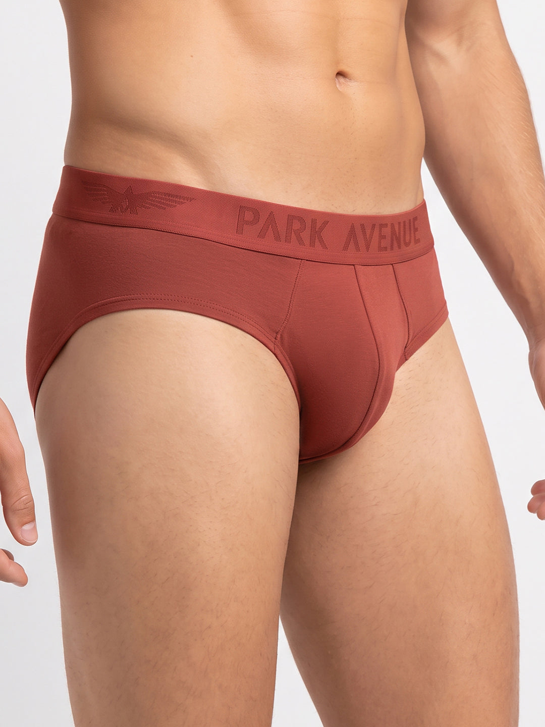 Park Avenue Men Marron Modal Blend Brief