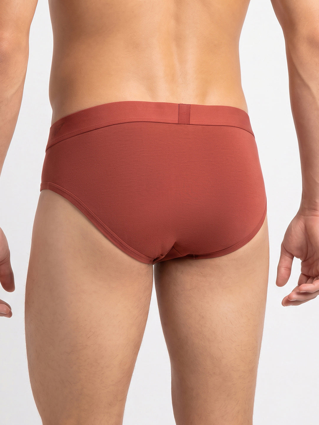 Park Avenue Men Marron Modal Blend Brief