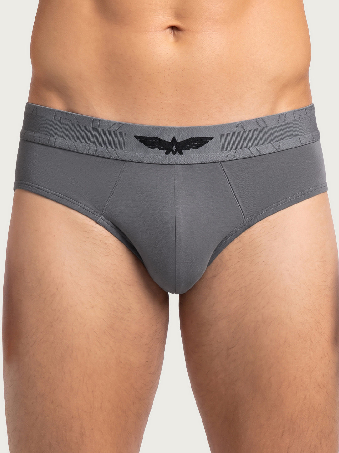 Park Avenue Men Grey Sup Blend Brief