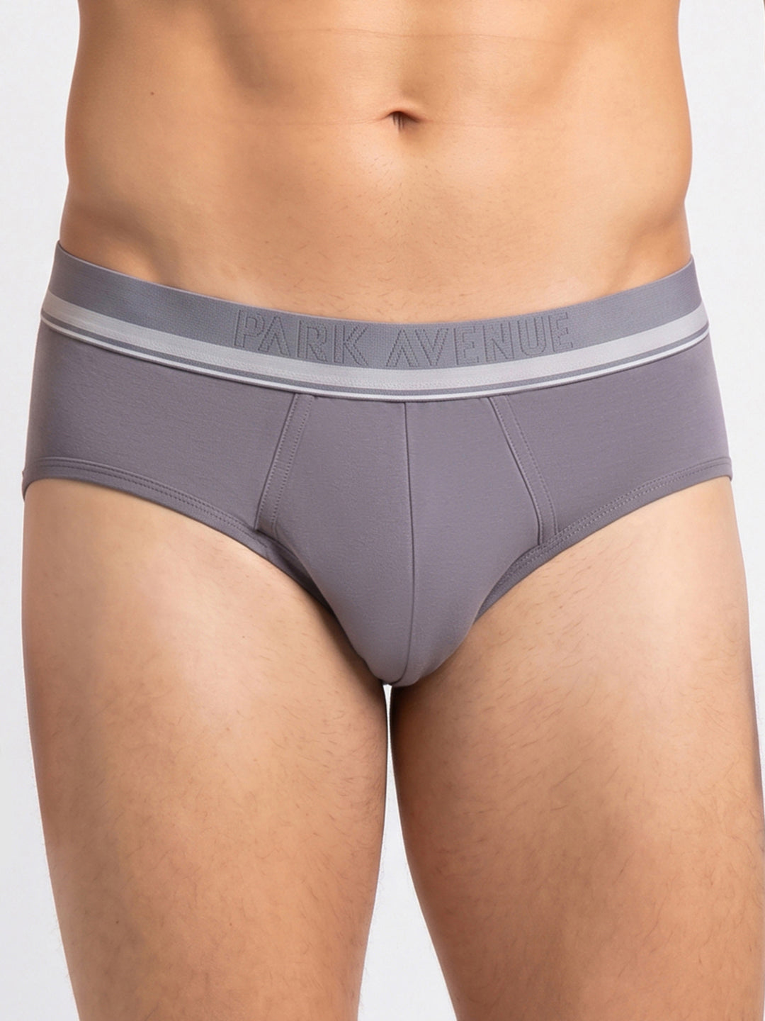 Park Avenue Men Grey Modal Blend Brief