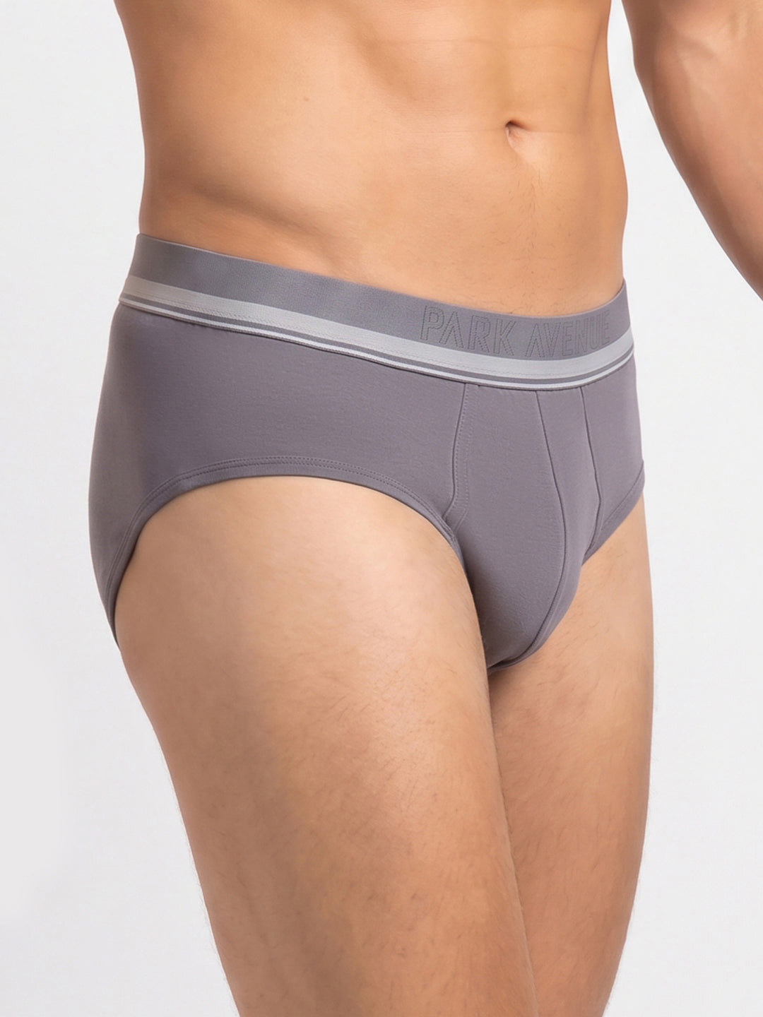 Park Avenue Men Grey Modal Blend Brief