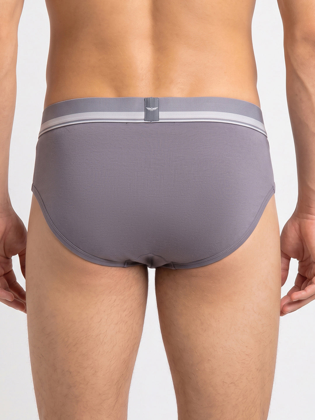 Park Avenue Men Grey Modal Blend Brief