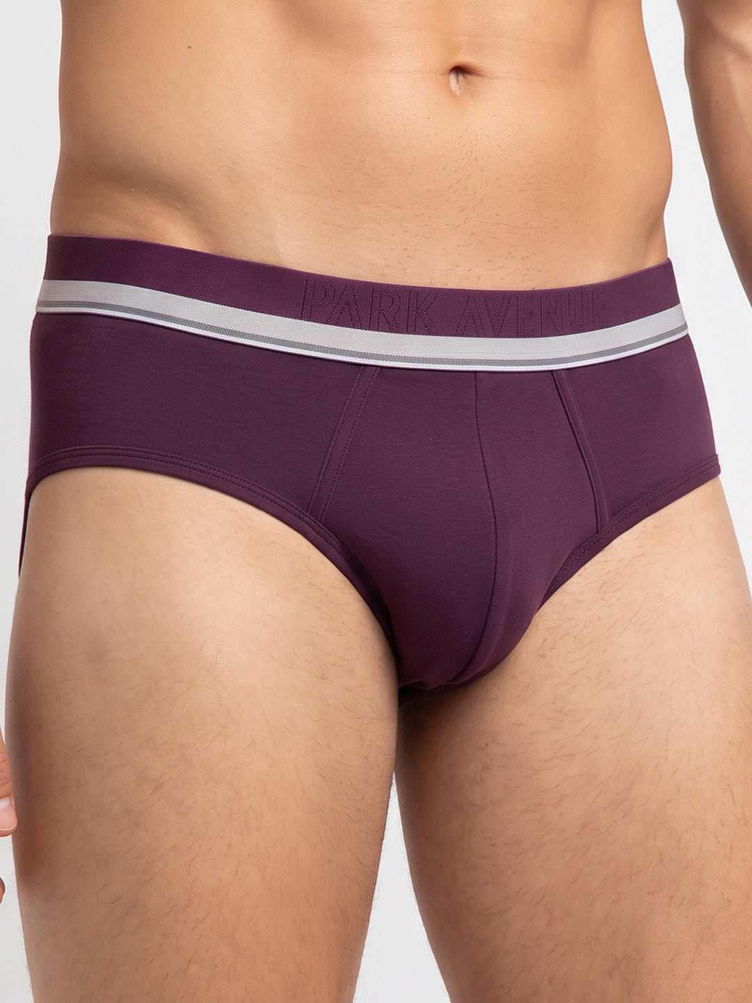 Park Avenue Men Maroon Modal Blend Brief