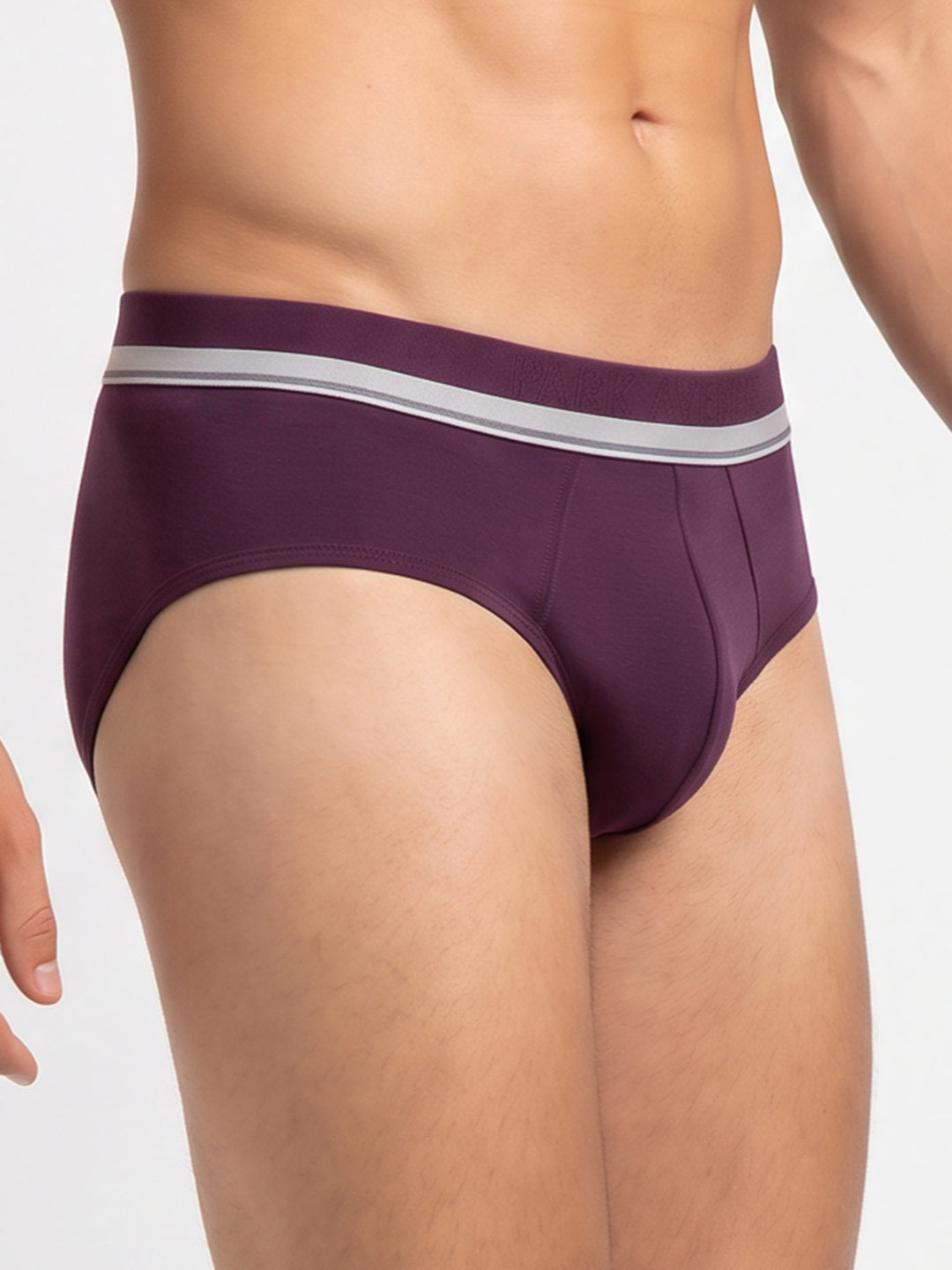Park Avenue Men Maroon Modal Blend Brief