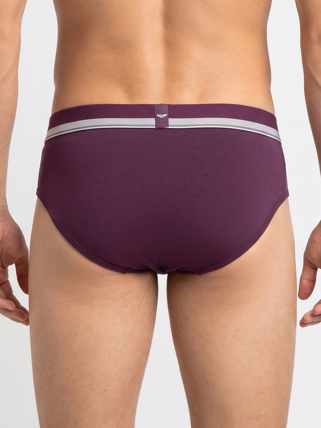 Park Avenue Men Maroon Modal Blend Brief