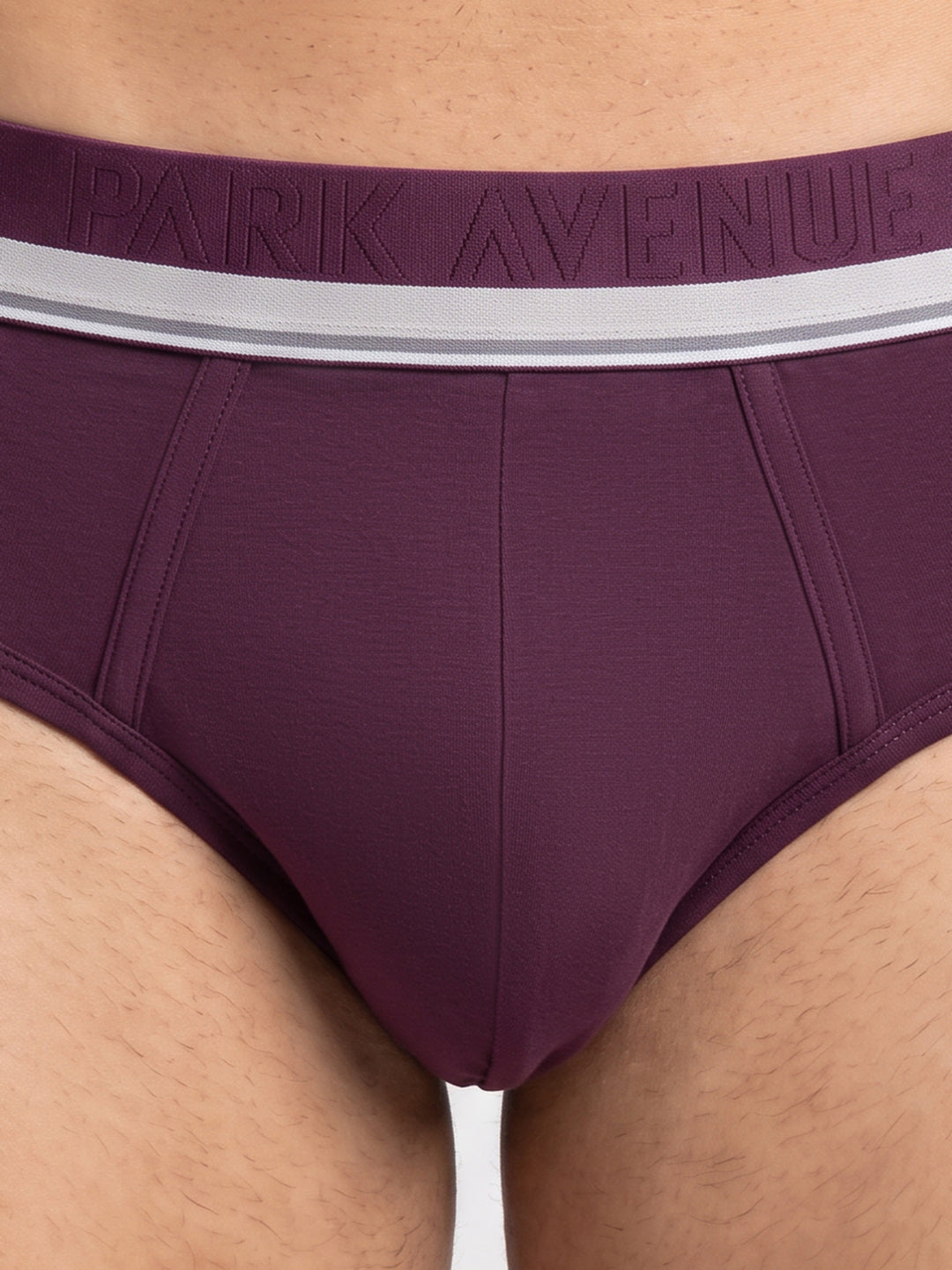 Park Avenue Men Maroon Modal Blend Brief