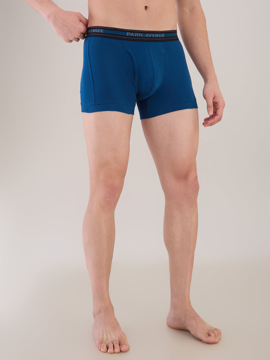 Park Avenue Blue Trunk