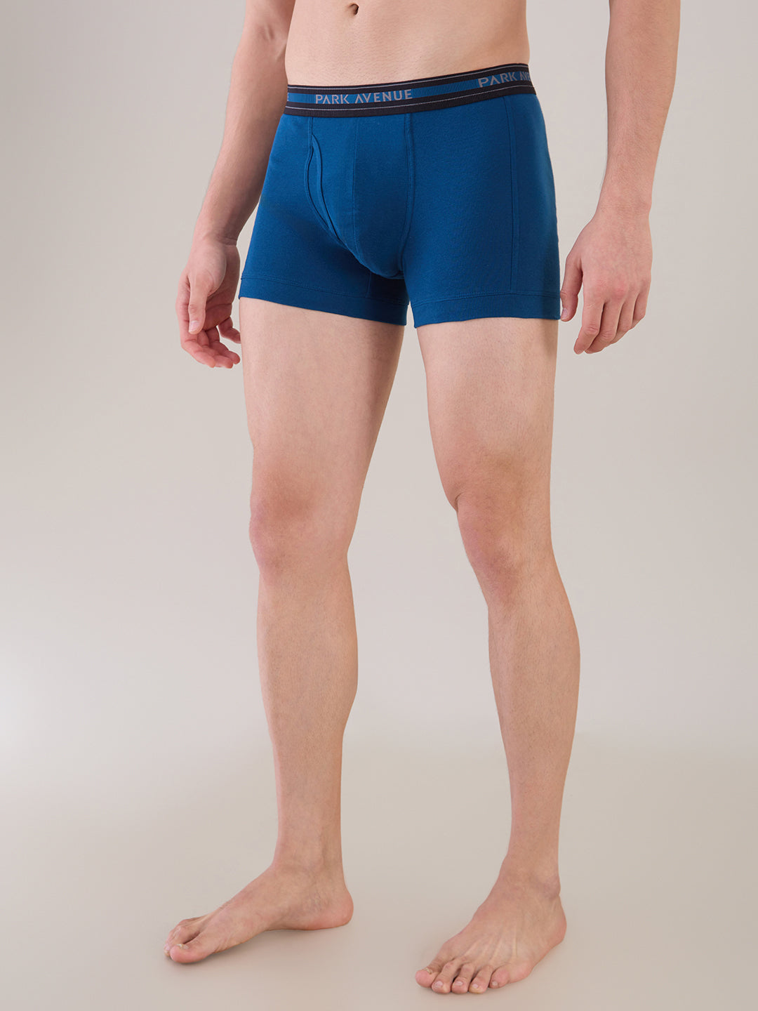 Park Avenue Blue Trunk