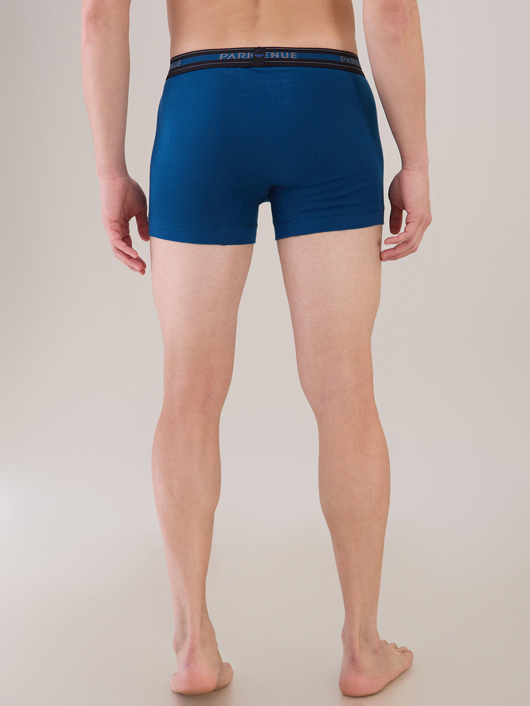 Park Avenue Blue Trunk